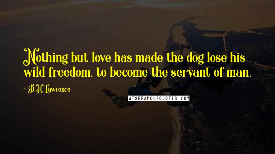 D.H. Lawrence Quotes: Nothing but love has made the dog lose his wild freedom, to become the servant of man.