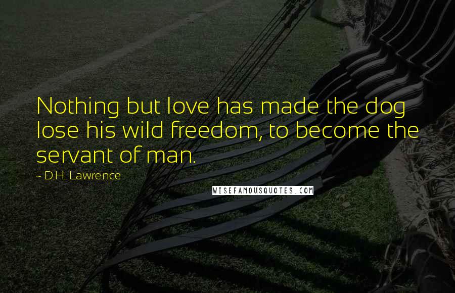 D.H. Lawrence Quotes: Nothing but love has made the dog lose his wild freedom, to become the servant of man.