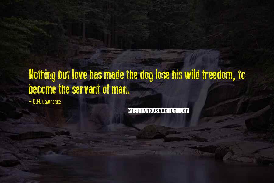 D.H. Lawrence Quotes: Nothing but love has made the dog lose his wild freedom, to become the servant of man.