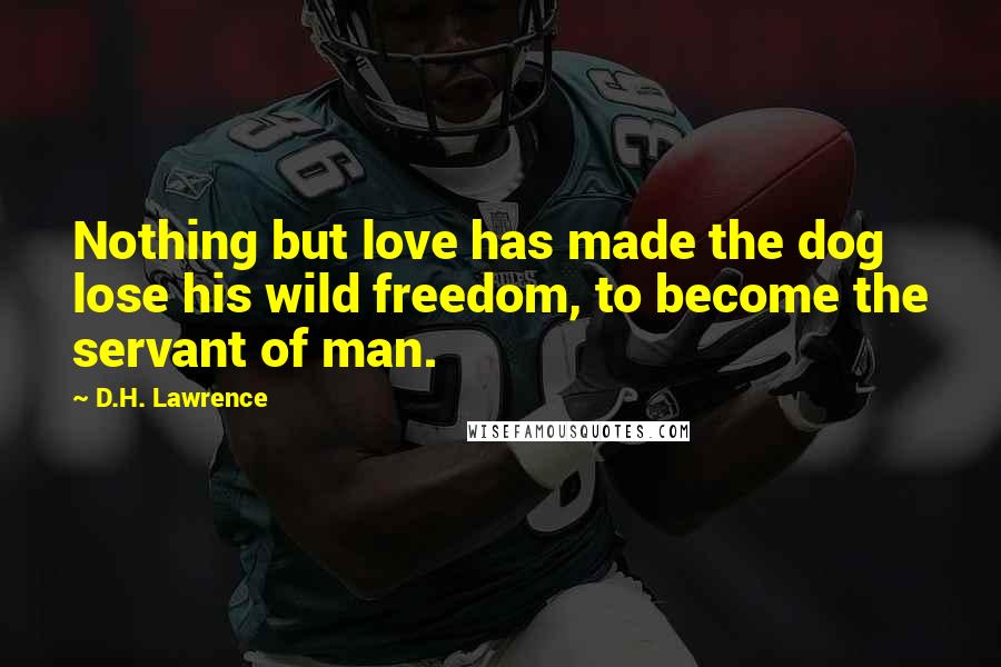 D.H. Lawrence Quotes: Nothing but love has made the dog lose his wild freedom, to become the servant of man.