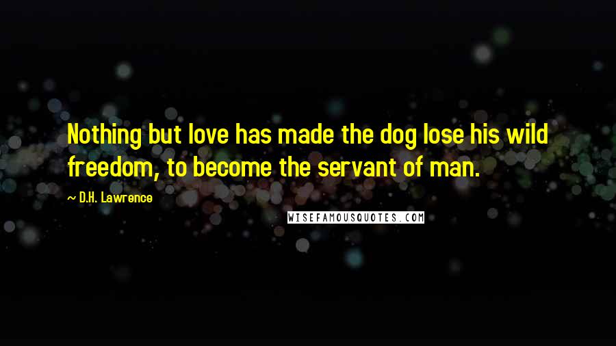 D.H. Lawrence Quotes: Nothing but love has made the dog lose his wild freedom, to become the servant of man.