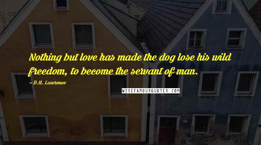 D.H. Lawrence Quotes: Nothing but love has made the dog lose his wild freedom, to become the servant of man.