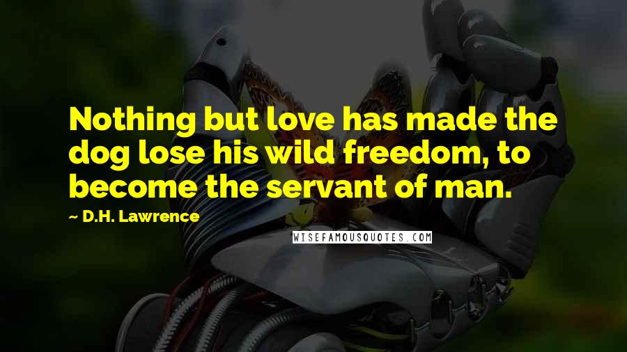 D.H. Lawrence Quotes: Nothing but love has made the dog lose his wild freedom, to become the servant of man.