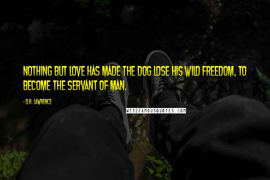 D.H. Lawrence Quotes: Nothing but love has made the dog lose his wild freedom, to become the servant of man.