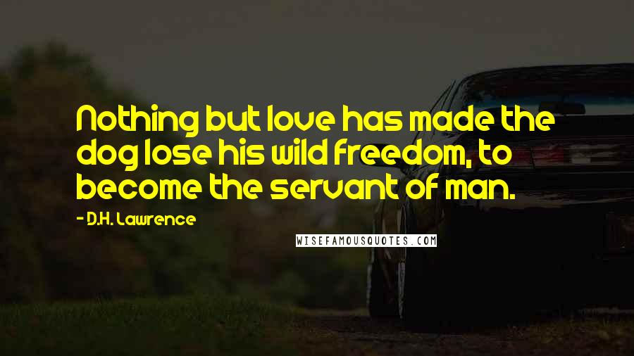 D.H. Lawrence Quotes: Nothing but love has made the dog lose his wild freedom, to become the servant of man.