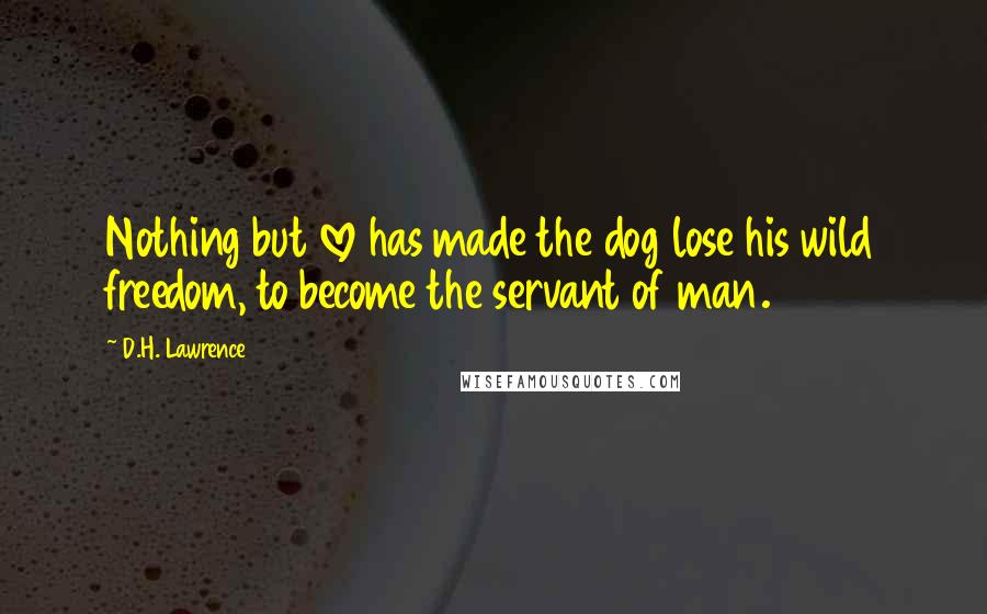 D.H. Lawrence Quotes: Nothing but love has made the dog lose his wild freedom, to become the servant of man.