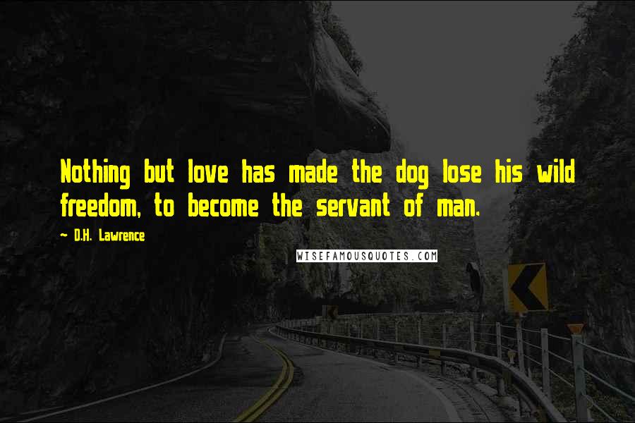 D.H. Lawrence Quotes: Nothing but love has made the dog lose his wild freedom, to become the servant of man.