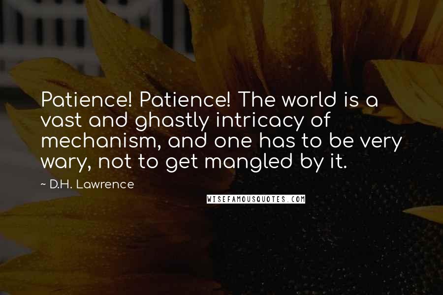 D.H. Lawrence Quotes: Patience! Patience! The world is a vast and ghastly intricacy of mechanism, and one has to be very wary, not to get mangled by it.