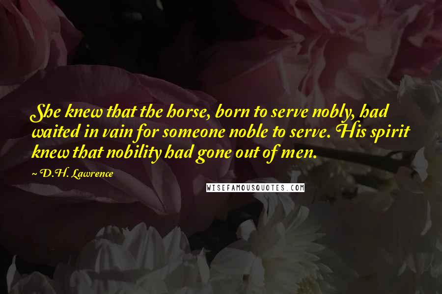 D.H. Lawrence Quotes: She knew that the horse, born to serve nobly, had waited in vain for someone noble to serve. His spirit knew that nobility had gone out of men.