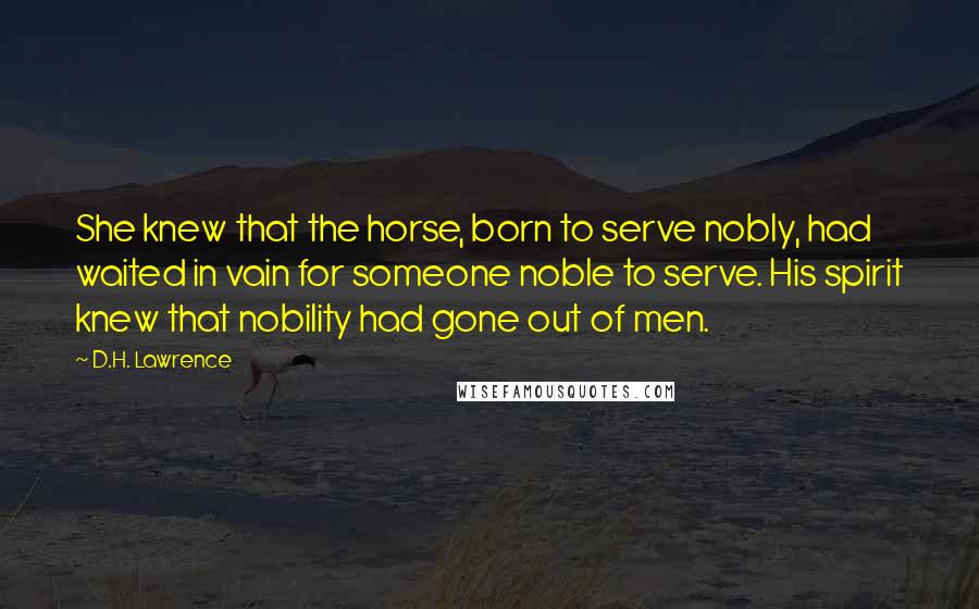 D.H. Lawrence Quotes: She knew that the horse, born to serve nobly, had waited in vain for someone noble to serve. His spirit knew that nobility had gone out of men.