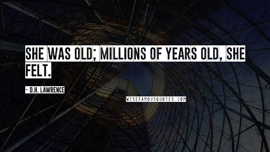 D.H. Lawrence Quotes: She was old; millions of years old, she felt.