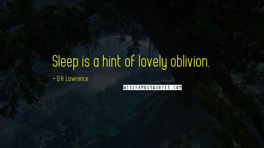 D.H. Lawrence Quotes: Sleep is a hint of lovely oblivion.