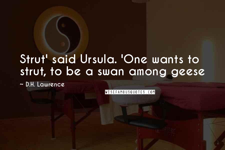 D.H. Lawrence Quotes: Strut' said Ursula. 'One wants to strut, to be a swan among geese