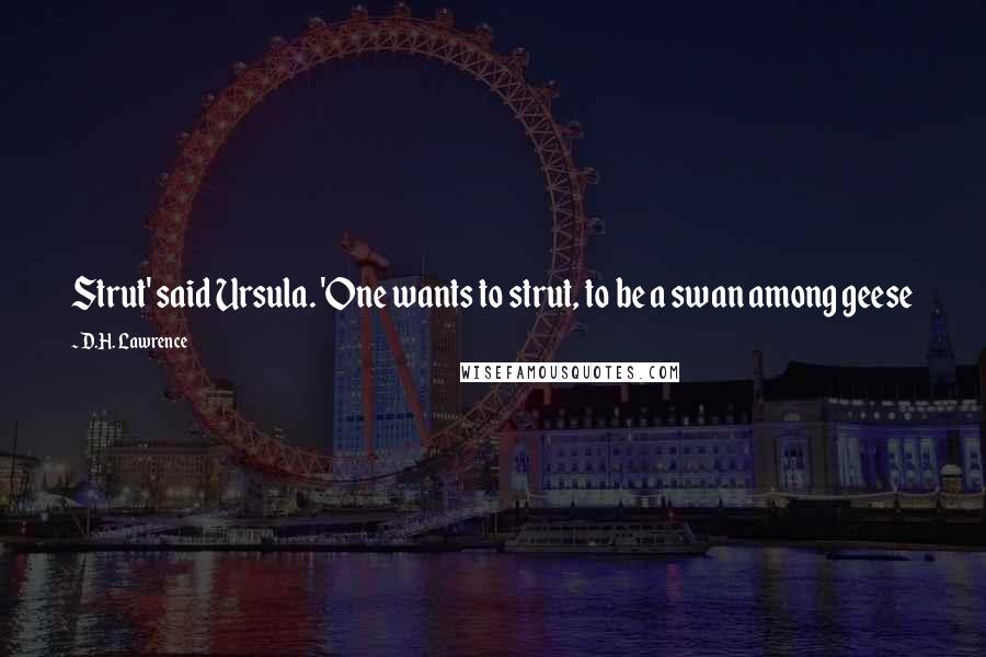 D.H. Lawrence Quotes: Strut' said Ursula. 'One wants to strut, to be a swan among geese