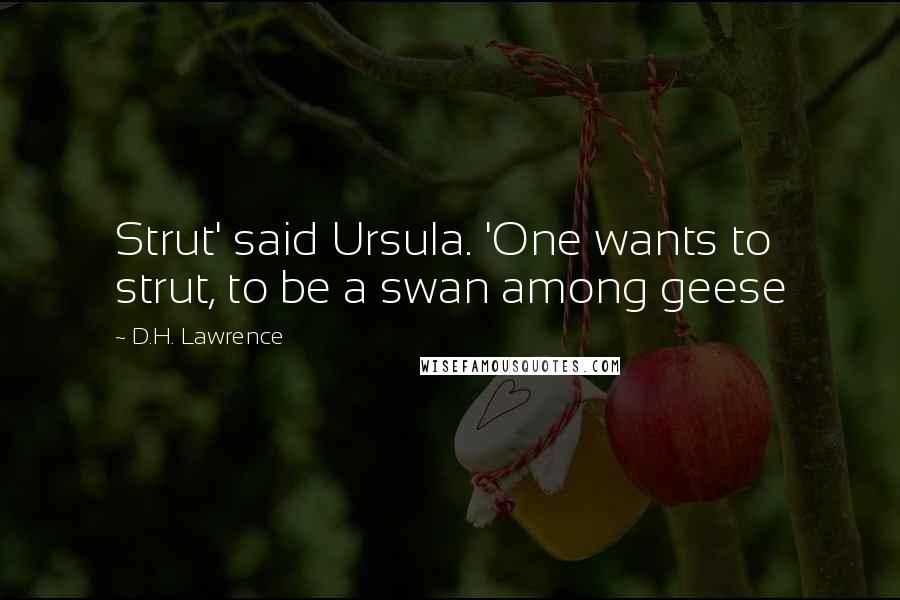 D.H. Lawrence Quotes: Strut' said Ursula. 'One wants to strut, to be a swan among geese