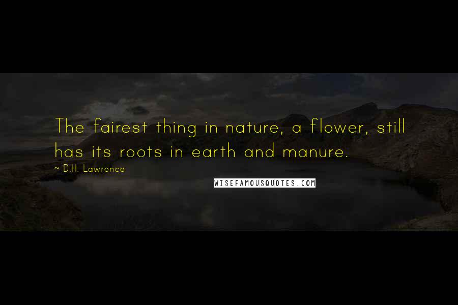 D.H. Lawrence Quotes: The fairest thing in nature, a flower, still has its roots in earth and manure.