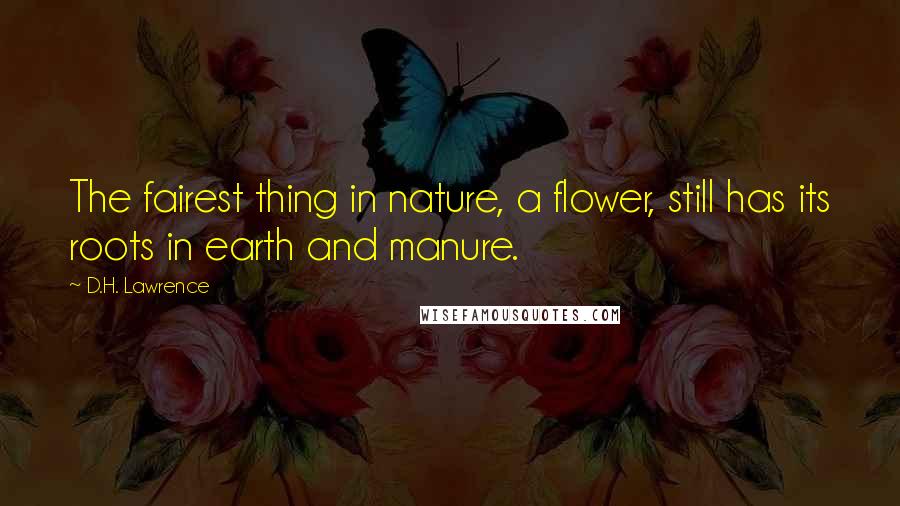 D.H. Lawrence Quotes: The fairest thing in nature, a flower, still has its roots in earth and manure.