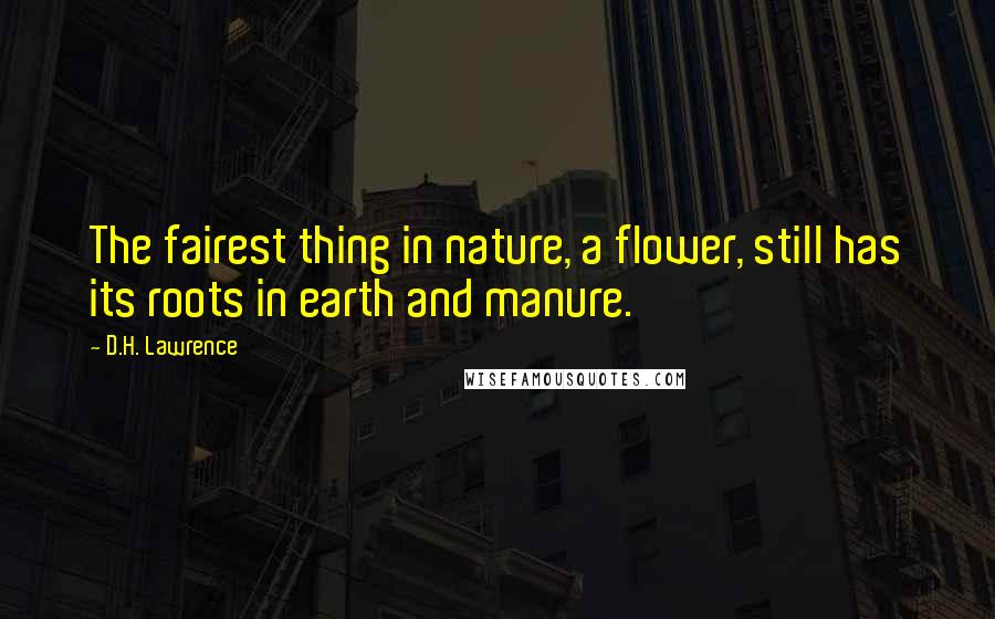 D.H. Lawrence Quotes: The fairest thing in nature, a flower, still has its roots in earth and manure.