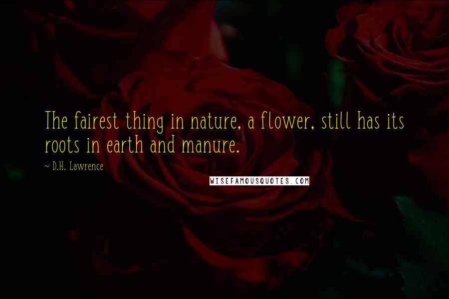 D.H. Lawrence Quotes: The fairest thing in nature, a flower, still has its roots in earth and manure.