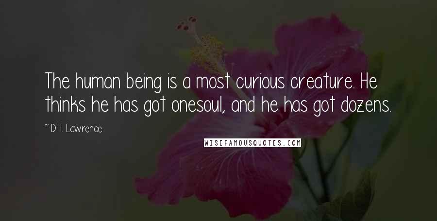 D.H. Lawrence Quotes: The human being is a most curious creature. He thinks he has got onesoul, and he has got dozens.