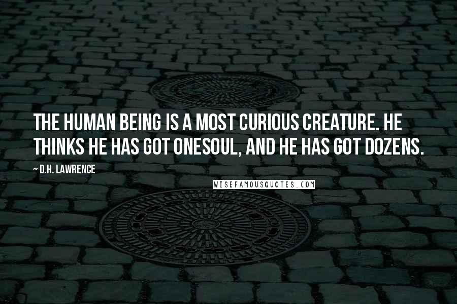 D.H. Lawrence Quotes: The human being is a most curious creature. He thinks he has got onesoul, and he has got dozens.