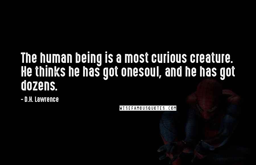 D.H. Lawrence Quotes: The human being is a most curious creature. He thinks he has got onesoul, and he has got dozens.