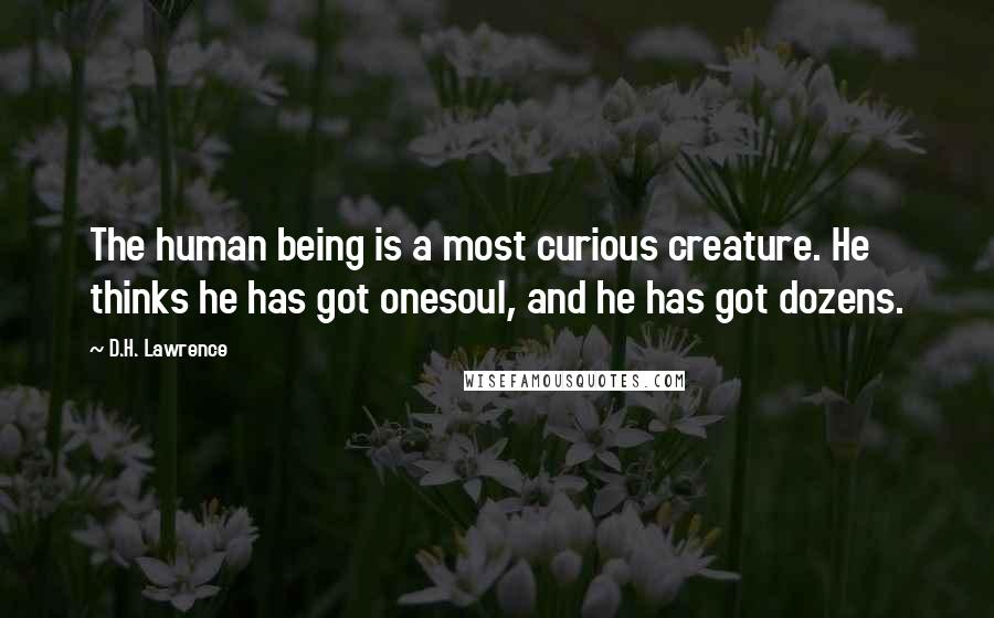 D.H. Lawrence Quotes: The human being is a most curious creature. He thinks he has got onesoul, and he has got dozens.