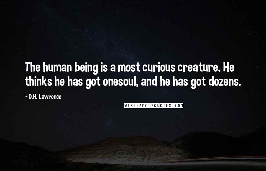 D.H. Lawrence Quotes: The human being is a most curious creature. He thinks he has got onesoul, and he has got dozens.