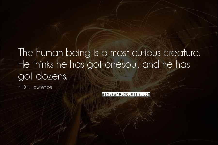 D.H. Lawrence Quotes: The human being is a most curious creature. He thinks he has got onesoul, and he has got dozens.