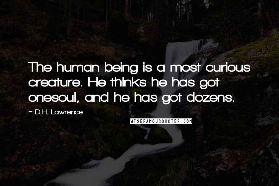 D.H. Lawrence Quotes: The human being is a most curious creature. He thinks he has got onesoul, and he has got dozens.