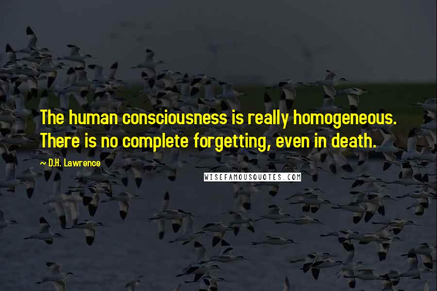 D.H. Lawrence Quotes: The human consciousness is really homogeneous. There is no complete forgetting, even in death.