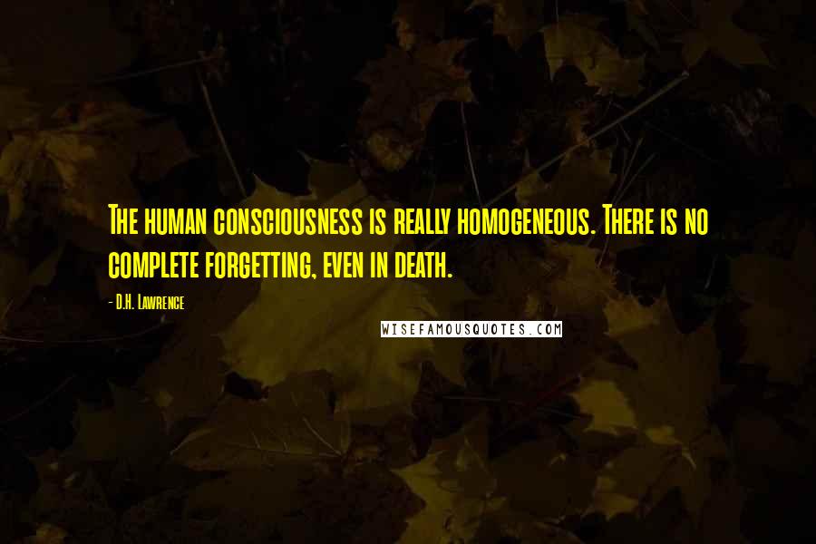 D.H. Lawrence Quotes: The human consciousness is really homogeneous. There is no complete forgetting, even in death.