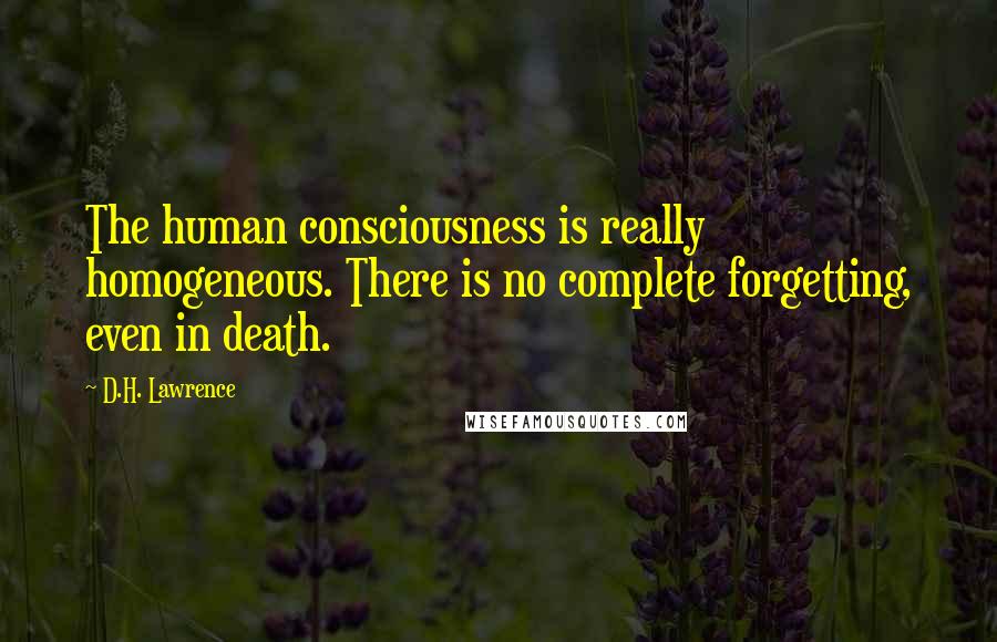 D.H. Lawrence Quotes: The human consciousness is really homogeneous. There is no complete forgetting, even in death.