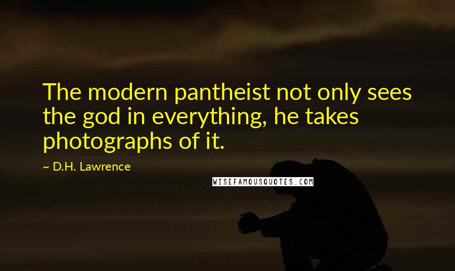 D.H. Lawrence Quotes: The modern pantheist not only sees the god in everything, he takes photographs of it.