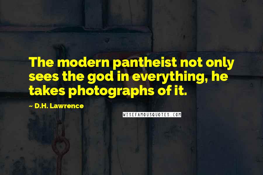 D.H. Lawrence Quotes: The modern pantheist not only sees the god in everything, he takes photographs of it.