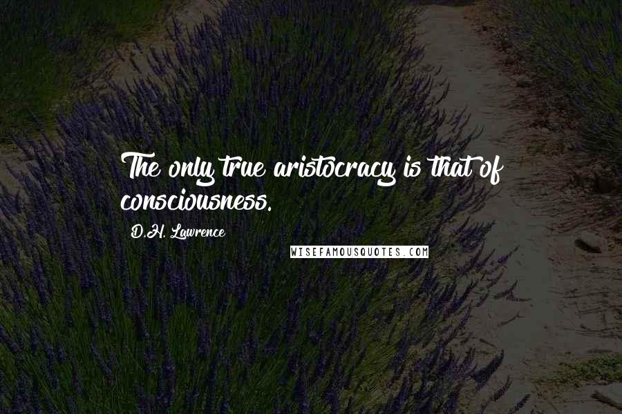 D.H. Lawrence Quotes: The only true aristocracy is that of consciousness.