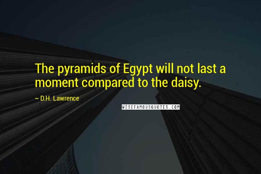 D.H. Lawrence Quotes: The pyramids of Egypt will not last a moment compared to the daisy.