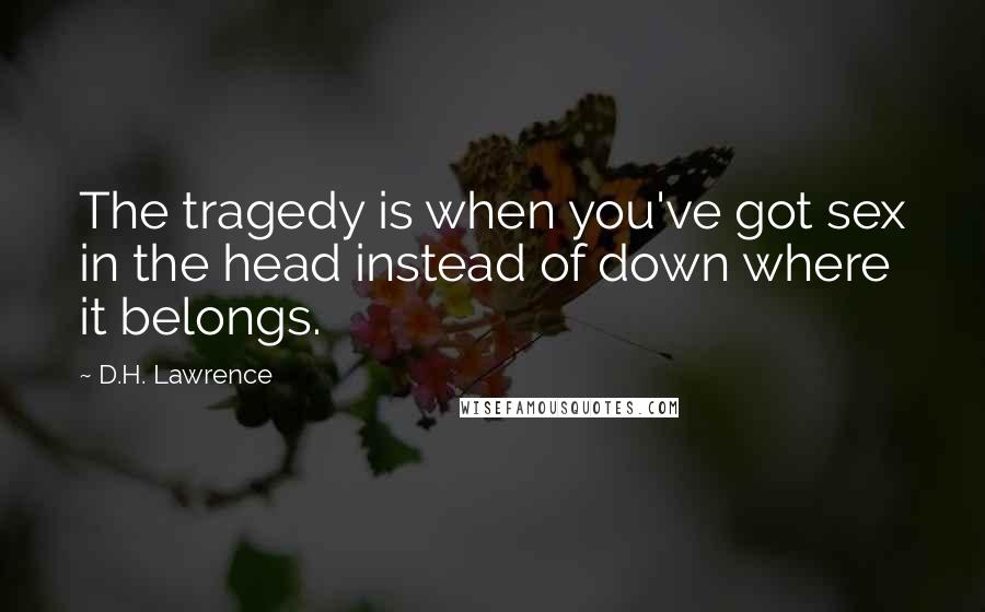 D.H. Lawrence Quotes: The tragedy is when you've got sex in the head instead of down where it belongs.