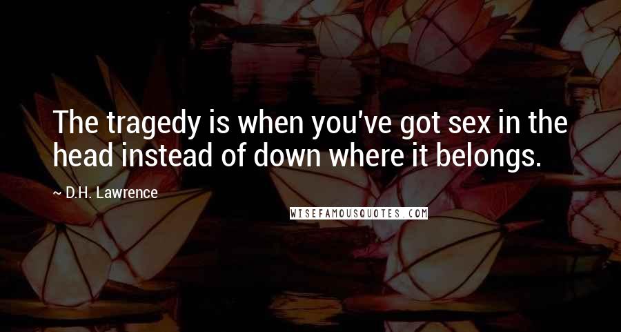 D.H. Lawrence Quotes: The tragedy is when you've got sex in the head instead of down where it belongs.