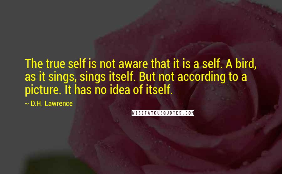 D.H. Lawrence Quotes: The true self is not aware that it is a self. A bird, as it sings, sings itself. But not according to a picture. It has no idea of itself.