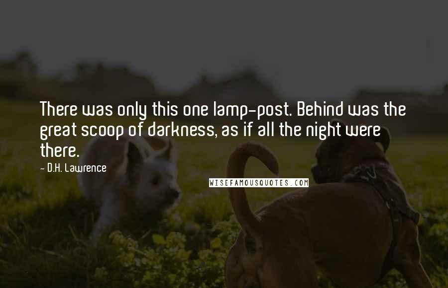 D.H. Lawrence Quotes: There was only this one lamp-post. Behind was the great scoop of darkness, as if all the night were there.