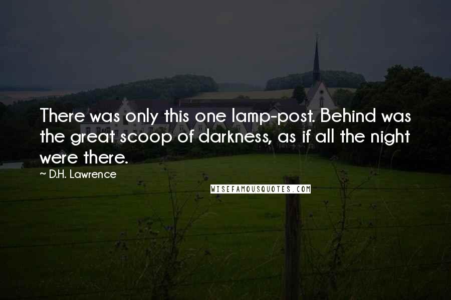 D.H. Lawrence Quotes: There was only this one lamp-post. Behind was the great scoop of darkness, as if all the night were there.