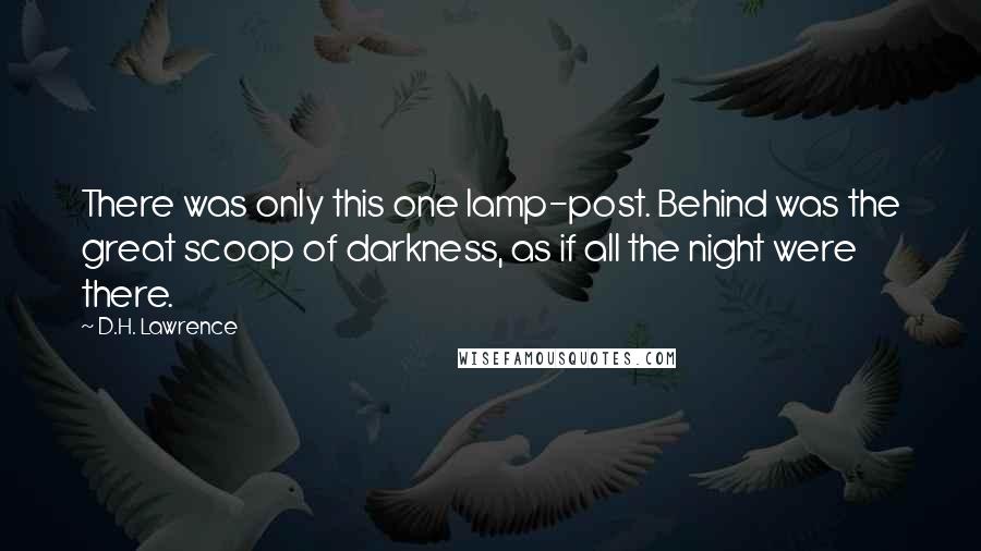 D.H. Lawrence Quotes: There was only this one lamp-post. Behind was the great scoop of darkness, as if all the night were there.