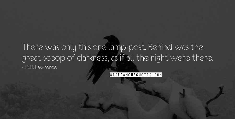 D.H. Lawrence Quotes: There was only this one lamp-post. Behind was the great scoop of darkness, as if all the night were there.