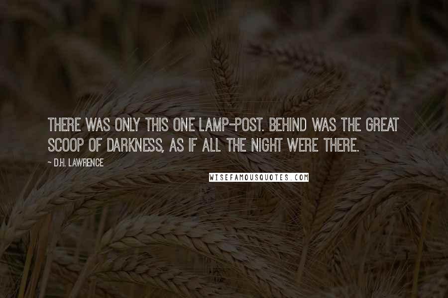 D.H. Lawrence Quotes: There was only this one lamp-post. Behind was the great scoop of darkness, as if all the night were there.