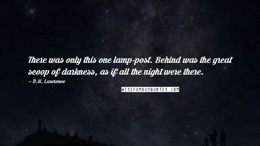 D.H. Lawrence Quotes: There was only this one lamp-post. Behind was the great scoop of darkness, as if all the night were there.