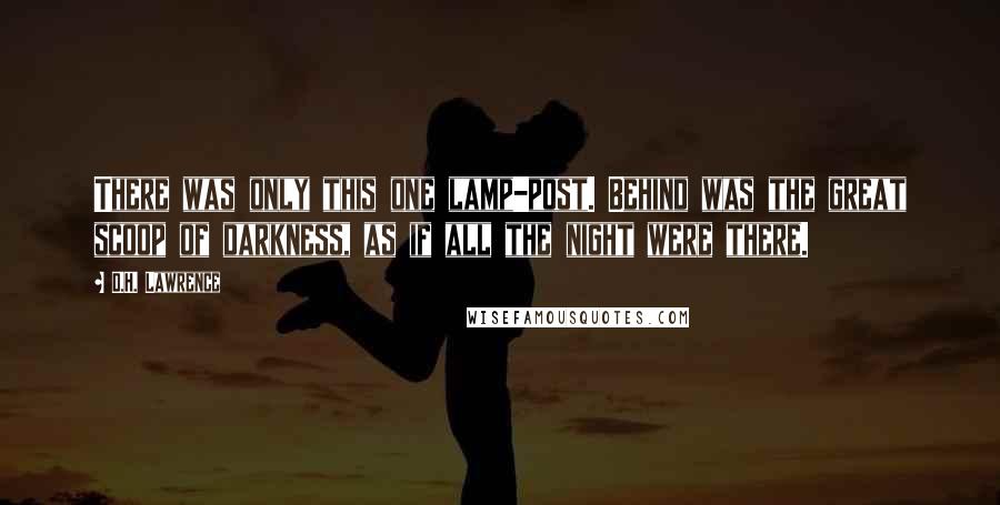 D.H. Lawrence Quotes: There was only this one lamp-post. Behind was the great scoop of darkness, as if all the night were there.