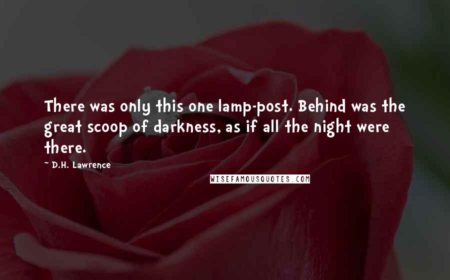 D.H. Lawrence Quotes: There was only this one lamp-post. Behind was the great scoop of darkness, as if all the night were there.