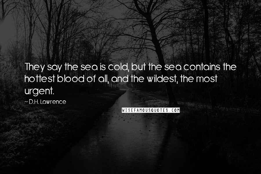 D.H. Lawrence Quotes: They say the sea is cold, but the sea contains the hottest blood of all, and the wildest, the most urgent.