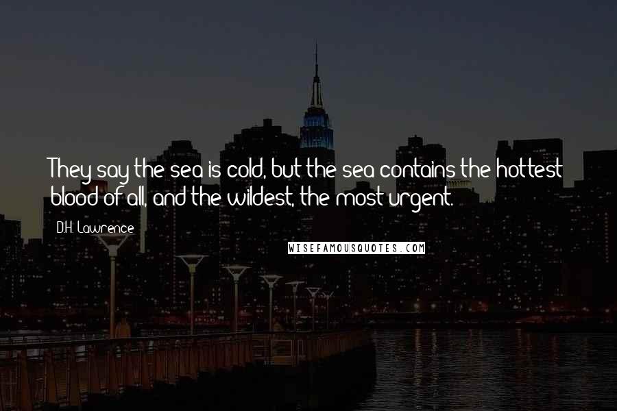 D.H. Lawrence Quotes: They say the sea is cold, but the sea contains the hottest blood of all, and the wildest, the most urgent.